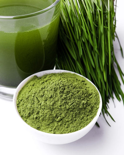 Barley Grass