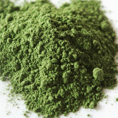 Wheatgrass